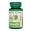 Boswellia, 60 Tabletten, Dacia Plant