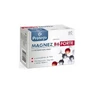 Protego Magnesium B6 Forte, 60 Tabletten