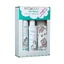 Sylveco Voor Kinderen romige shampoo en badlotion 300ml + Body Olive met betuline 200ml