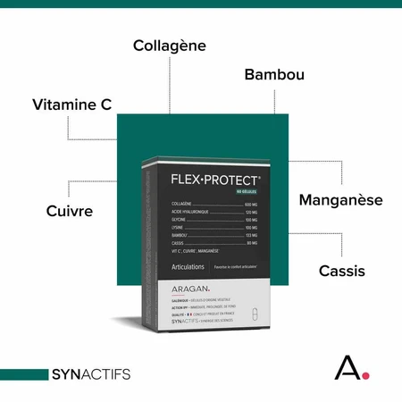 Aragan Synactifs FlexProtect Gewricht 60 capsules