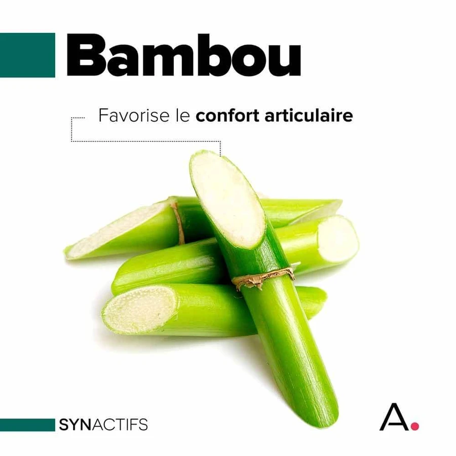 Aragan Synactifs FlexProtect Gewricht 60 capsules