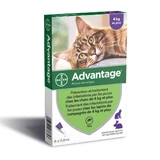 Advantage 80 Large Cats and Rabbits Weight over 4kg 6x0.8ml