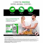 Frontline Combo Spot-on Cat and Ferret 6 0.5 ml Pipettes
