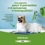 Clement-Thekan Vlooien en teken Hond 20-40kg 4 Pipetten
