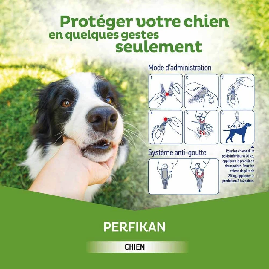 Clement-Thekan Vlooien en teken Hond 20-40kg 4 Pipetten