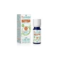 Puressentiel Essential Oils Eucalyptus Radie Organic 10ml