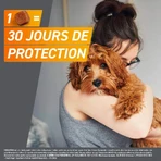 Frontline Frontpro Antiparasitic medium dog 4-10kg against fleas and ticks x3 tablets