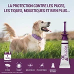 Ceva Vectra Spot-on Oplossing voor Honden 1,5-4 kg 3 pipetten