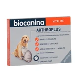 Biocanine Arthroplus schmackhafte Tabletten für Hunde und Katzen X40