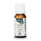 Neobulle Winter Synergy für Diffusor 10ml