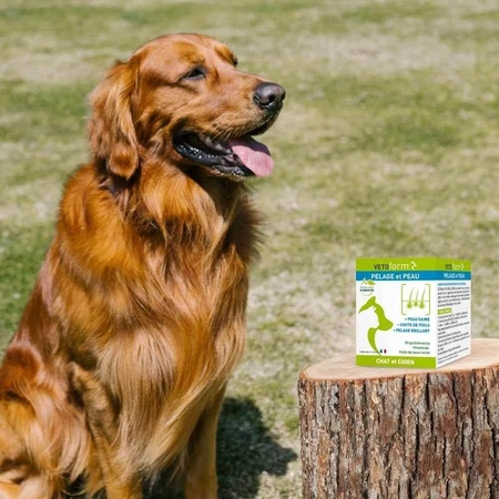 Vetoform Hond en Kat Dieet Haar- en Huidsupplement 100g