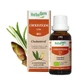 Herbalgem Bourgeons Organisch Cholesterol 30ml