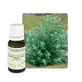Pranarôm Etherische oliën Biologische etherische olie van Eucalyptus (Eucaliptus Globulus) 10 ml