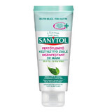 Désinfectant pour les mains au thé vert, 75 ml, Sanytol