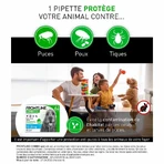 Frontline Combo spot-on hond M 10-20kg 6 pipetten 1,34 ml
