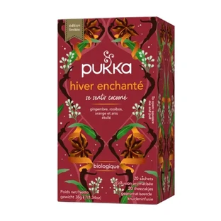 Pukka Enchanted Winter Infusion 20 builtjes