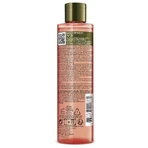 Sanoflore Rosa Fresca Gezichtslotion Damast Roos Bio Botanische Essentie 200ml