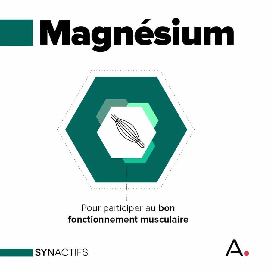 Aragan Synactifs Myoactieve spierontspanning 30 capsules