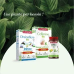 Programa Superdiet Detox 3x10 Ampollas 30 Ampollas