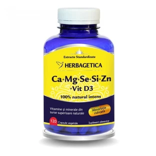 Ca+Mg+Se+Si+Zn Bio mit Vitamin D3, 120 Kapseln, Herbagetica