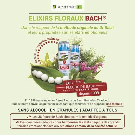 Kosmeo Fleurs de Bach Stress Bio 120 granules