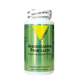 Vit'All+ Andrographis Paniculate 400 mg 60 tabletten