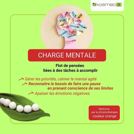 Kosmeo Bach Flowers Mental Charge Bio 120 granules