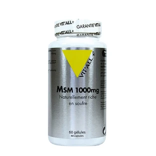 Vit'All+ Msm 1000mg 60 cápsulas