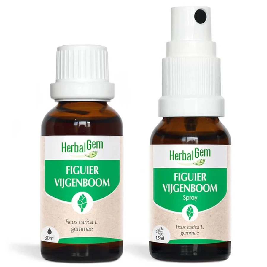 Herbalgem Bourgeons Figuier Bio Oplossing Buvable 30ml + Spray 15ml