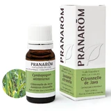 Pranarôm Ätherische Öle Ätherisches Öl Zitronengras Java 10ml