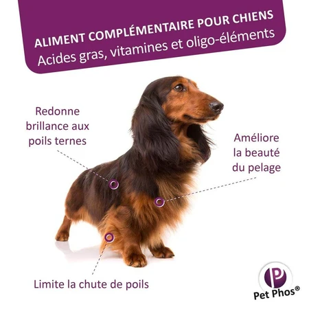 Ceva Pet Phos Pelage Chien 50 comprimés