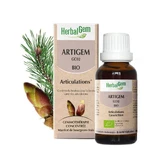 Herbalgem Bourgeons Bio Gelenke 30ml