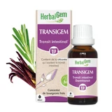 Herbalgem Bourgeons Transigem Bio Intestinal Transit 30ml