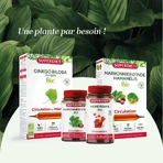 Superdiet Quatuor Durchblutung Red Vine 120 Kapseln 120 Gélules