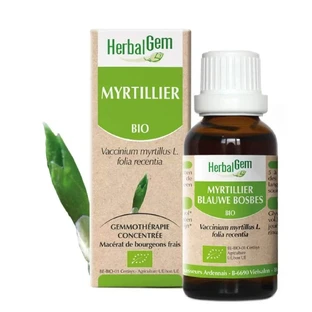Herbalgem Bourgeons Arándano 30ml