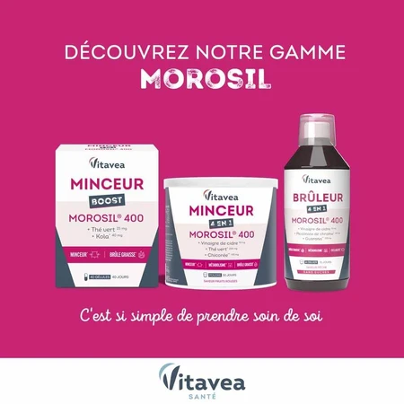 Vitavea Santé Boost Minceur Slimming 40 Capsules