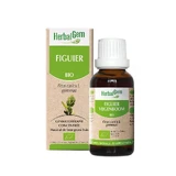 Herbalgem Bio Feige 30ml