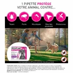 Frontline Tri-act Spot-on Dog 20-40 kg 3 4-mL pipettes