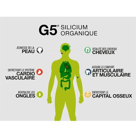 Silicium Organique G5 Silicio Bio Llr-g5 1l