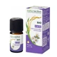 Naturactive Ätherisches Öl von Cistus Bio 5 ml