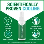 Biofreeze Cold-Action Spray 118 ml