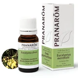 Pranarôm Etherische oliën Eucalyptus Menthol 10ml