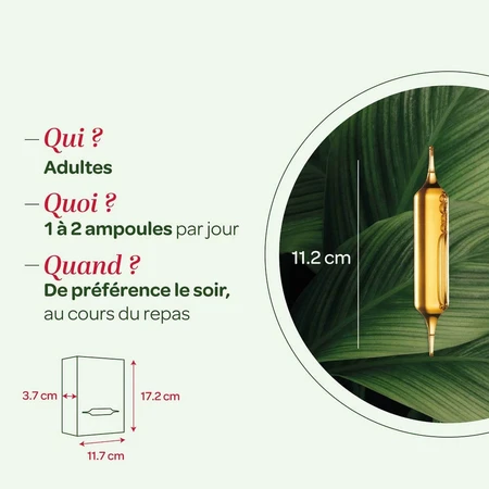Superdiet Mariendistel Bio Verdauung 20 Protection Du Foie 20 Ampullen