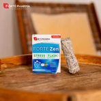 Forté Pharma Forté Zen Stress flash with ashwagandha mint flavor 10 orodispersible tablets