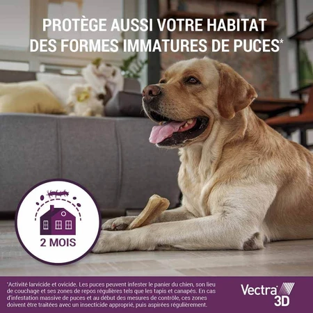 Ceva Vectra Spot-on Oplossing voor Honden >25-40kg 3 pipetten