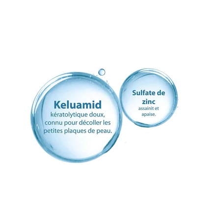Ducray Squanorm Jeukende Roos 200 ml