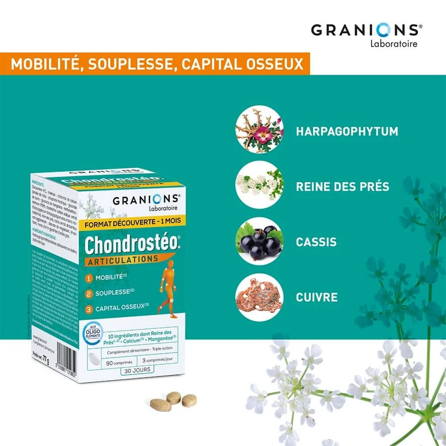 Granions Chondrostéo Chondrosteo Articulations 3x90 tabletten