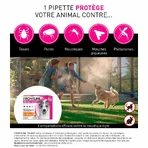 Frontline Tri-act Spot-on Dog 5-10kg 6 1ml Pipettes