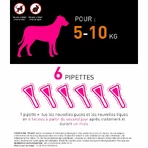Frontline Tri-act Spot-on Dog 5-10kg 6 1ml Pipettes