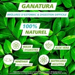 GaNatura Brûlure d'estomac et digestion Triple action 45 comprimés